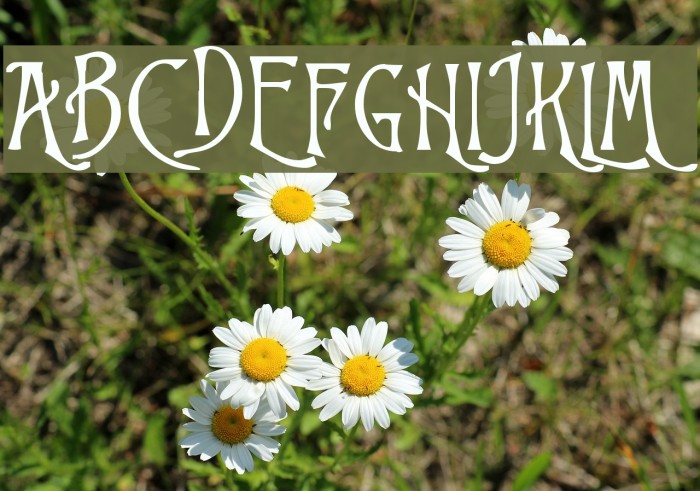Goodfellow Font examples