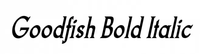 Goodfish Bold Italic  免费字体下载