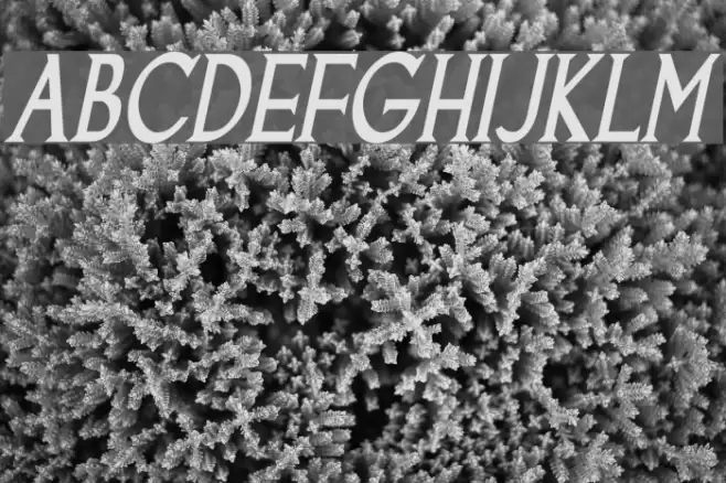 Goodfish Bold Italic Polices examples