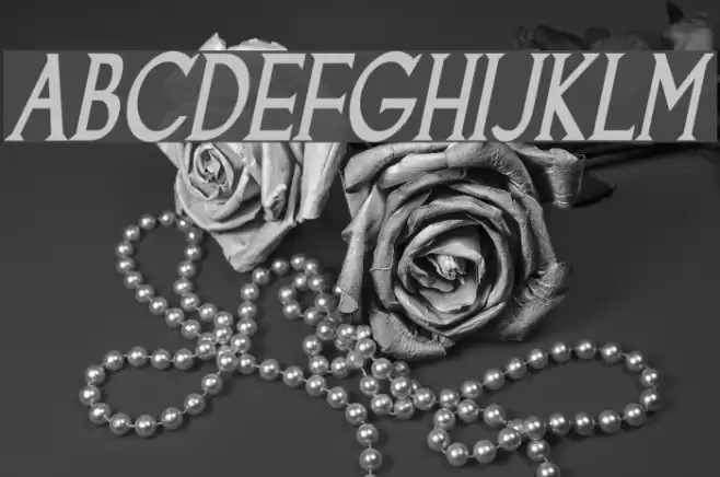 Goodfish Bold Italic Polices examples