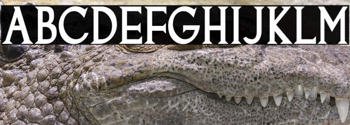 Goodfish-Bold Example 1