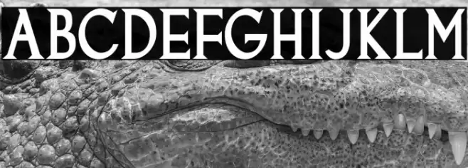 Goodfish-Bold Font examples