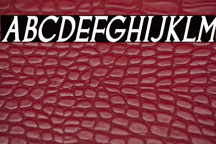 Goodfish-BoldItalic Example 1