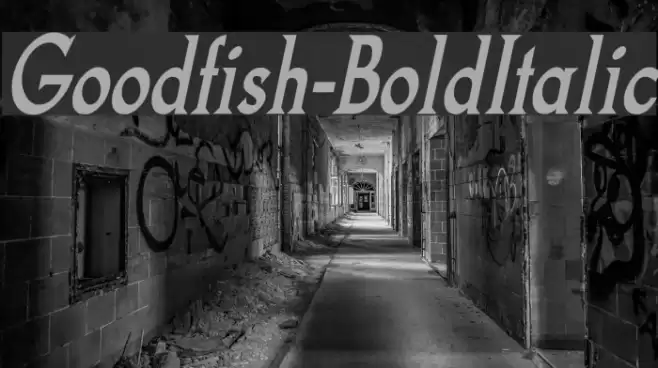 Goodfish-BoldItalic Font examples