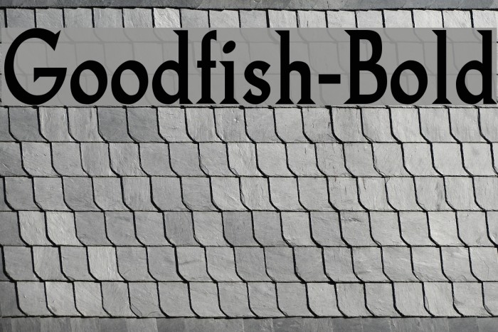 Goodfish-Bold Font examples