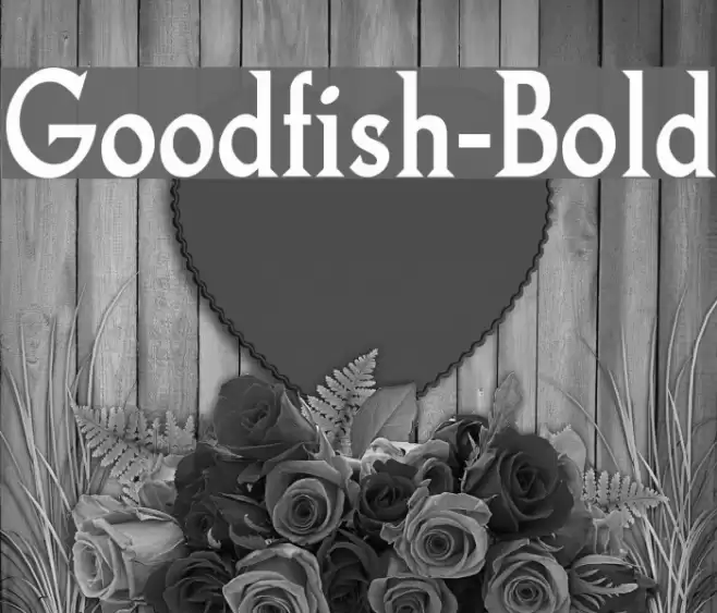 Goodfish-Bold Font examples