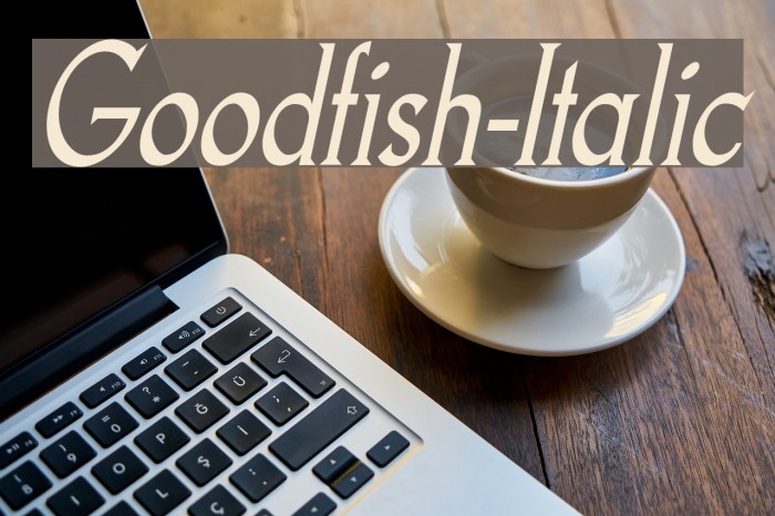 Goodfish-Italic Font examples