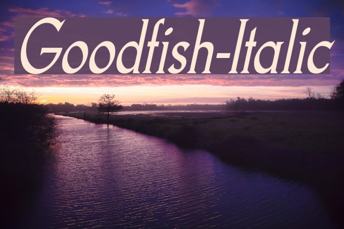 Goodfish-Italic Font examples