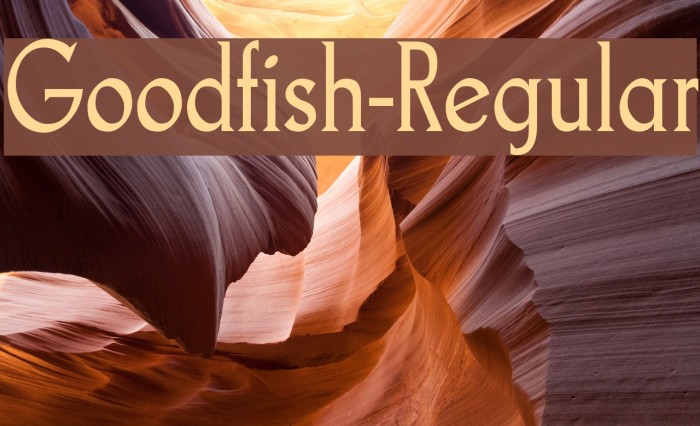 Goodfish-Regular Example 2