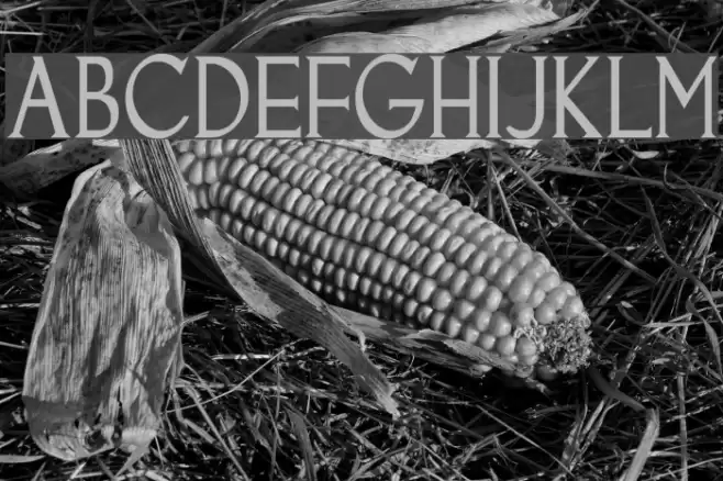 Goodfish Font examples