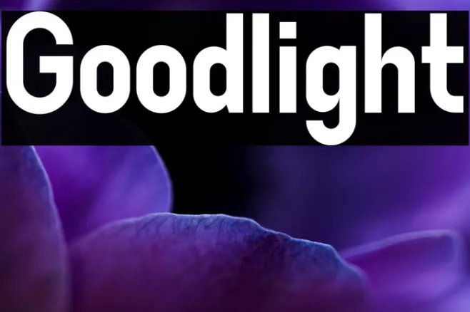 Goodlight Example 3