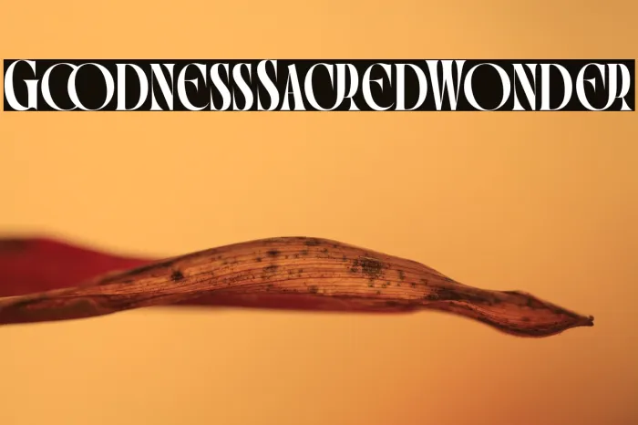Goodness Sacred Wonder Example 1