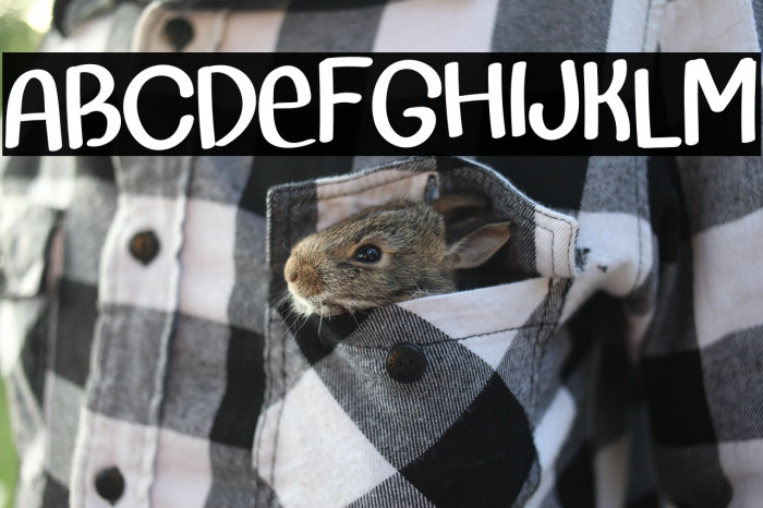 Goodnight Goodie Example 3