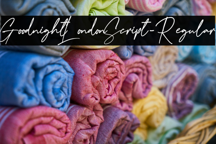 GoodnightLondonScript-Regular Example 1