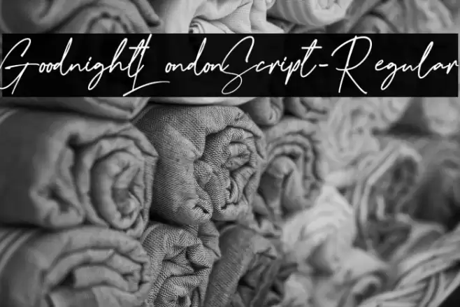 GoodnightLondonScript-Regular خط examples