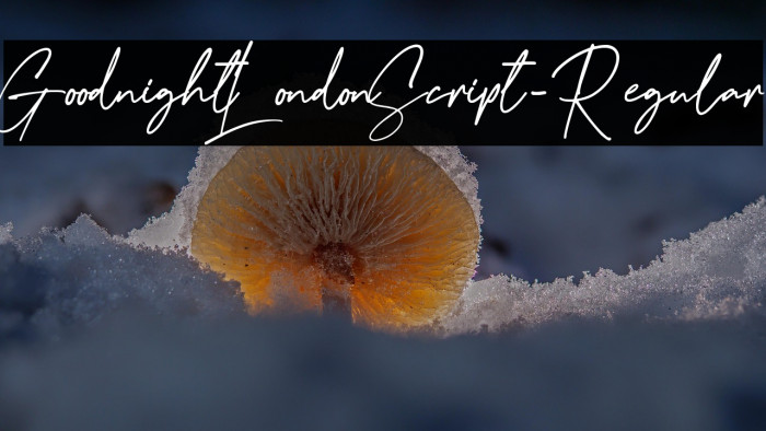GoodnightLondonScript-Regular Example 3