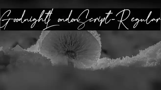 GoodnightLondonScript-Regular خط examples