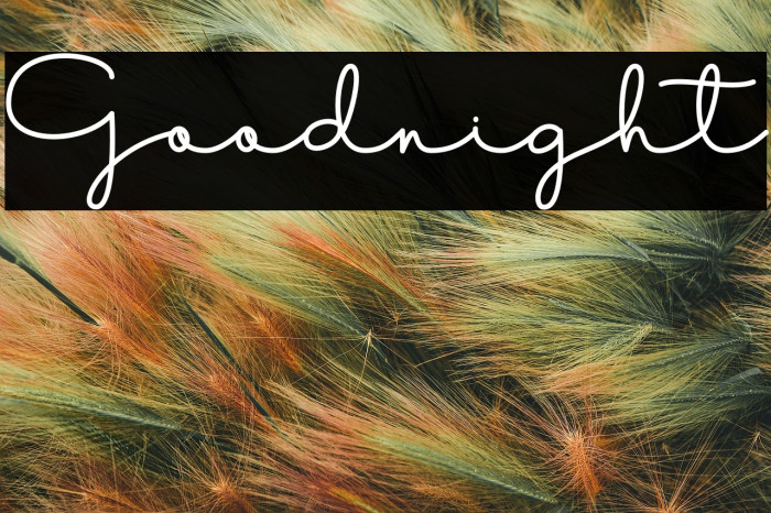 Goodnight Example 2