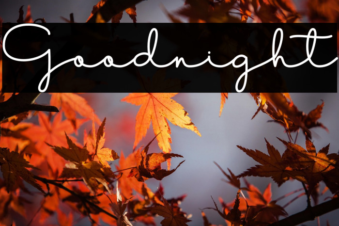 Goodnight Example 3