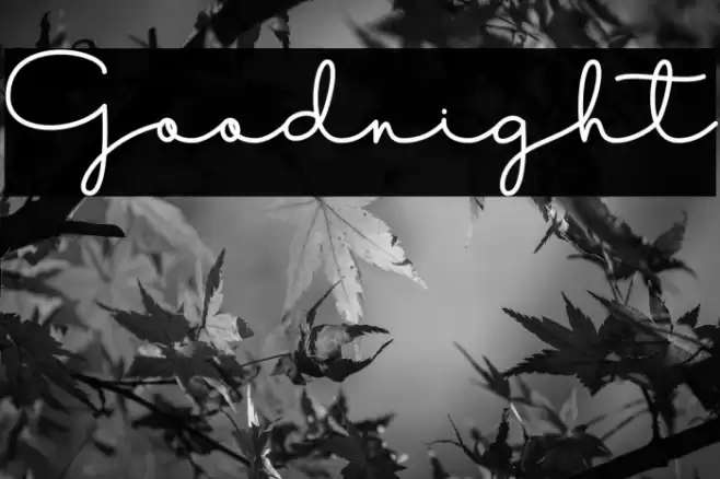 Goodnight Caratteri examples