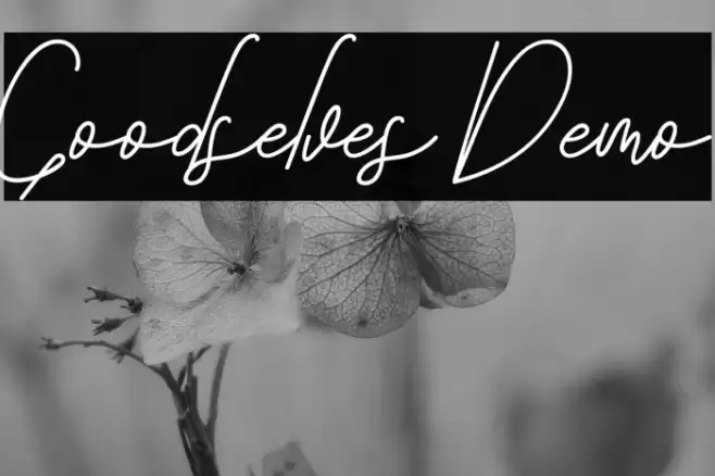 Goodselves Demo Font examples
