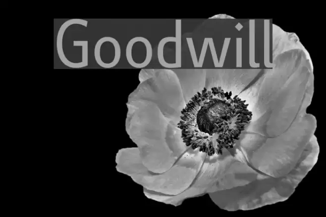 Goodwill Font examples