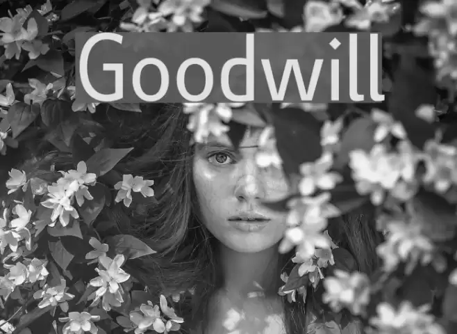 Goodwill Font examples