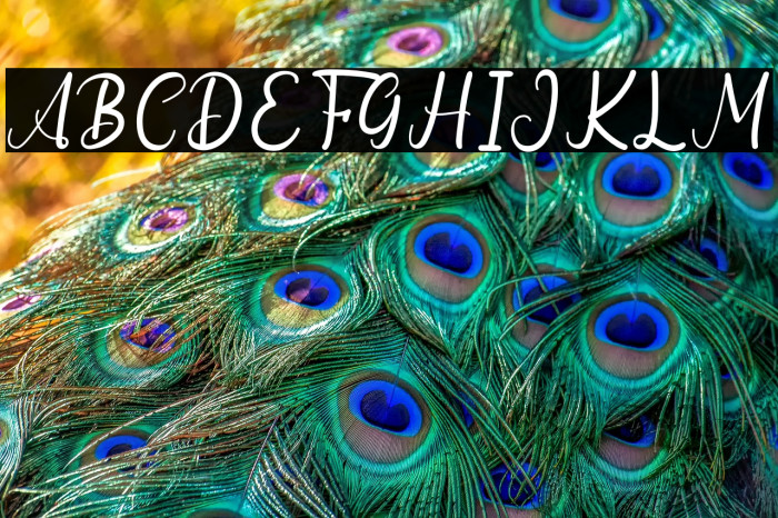 Goodwin Geraldine Example 1