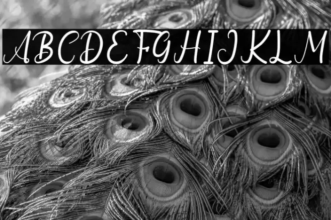 Goodwin Geraldine Font examples