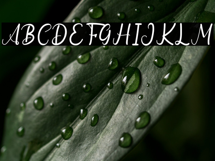 Goodwin Geraldine Example 3