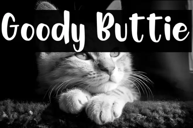 Goody Buttie Font examples