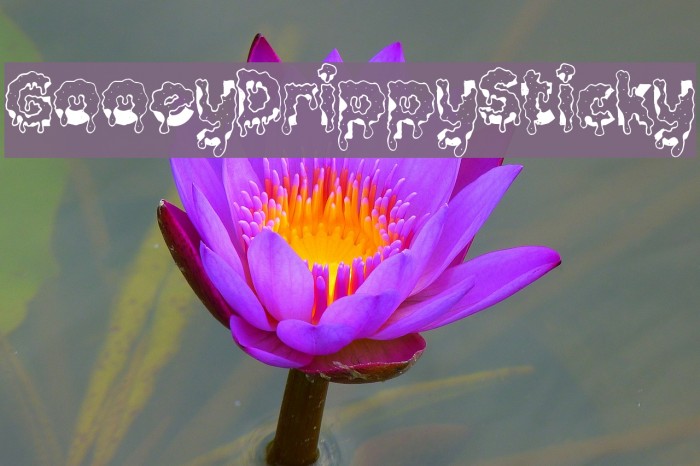 GooeyDrippySticky Example 2