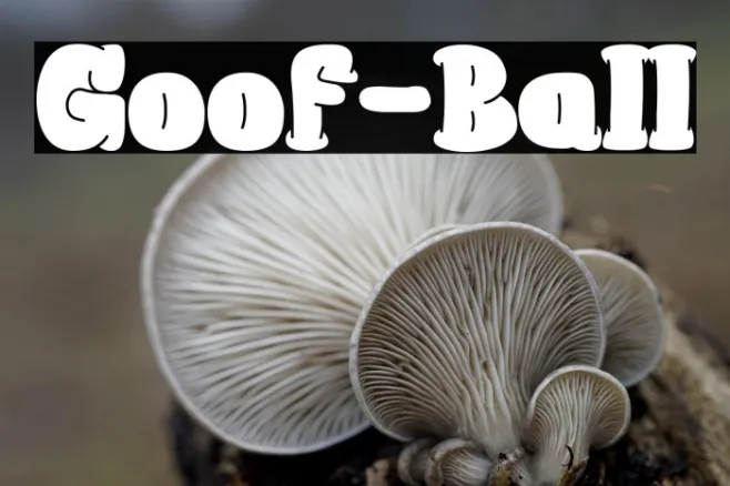 Goof-Ball Example 2