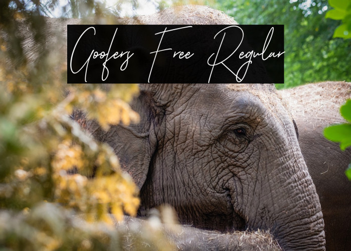 Goofers Free Regular Example 1