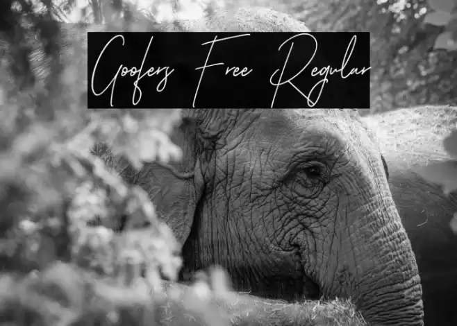 Goofers Free Regular フォント examples