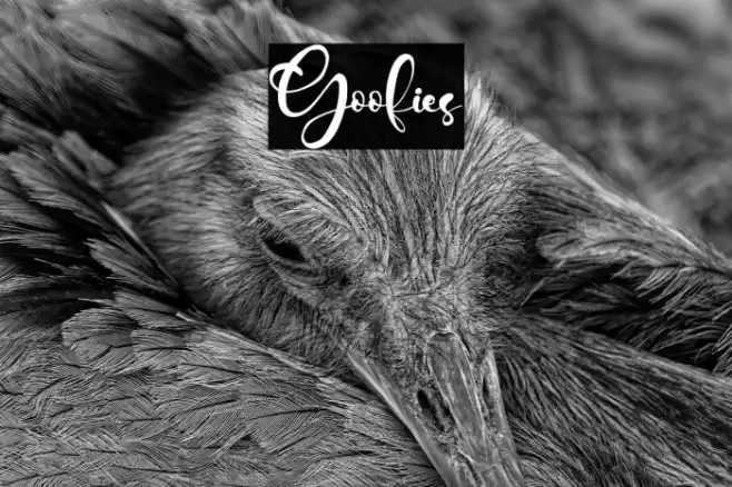 Goofies Font examples