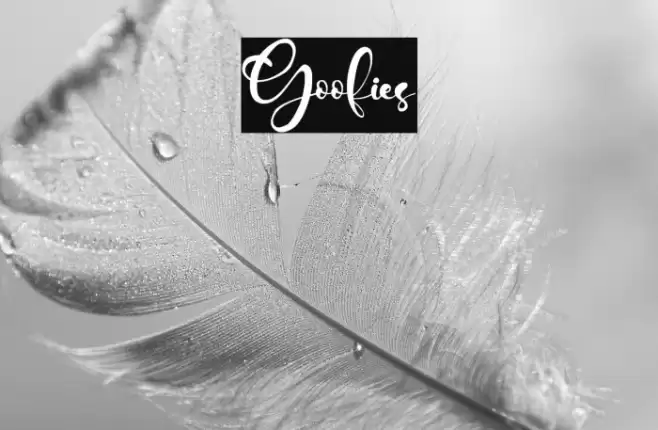 Goofies Font examples