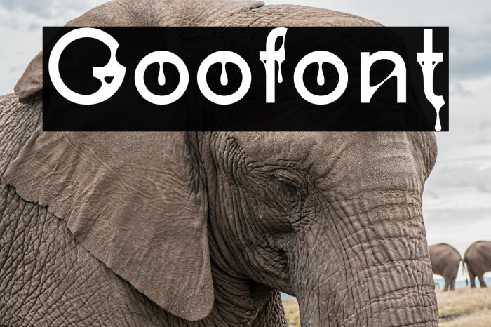 Goofont Font examples