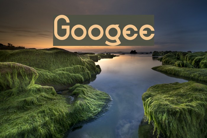 Googee Font examples