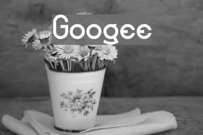 Googee Font examples