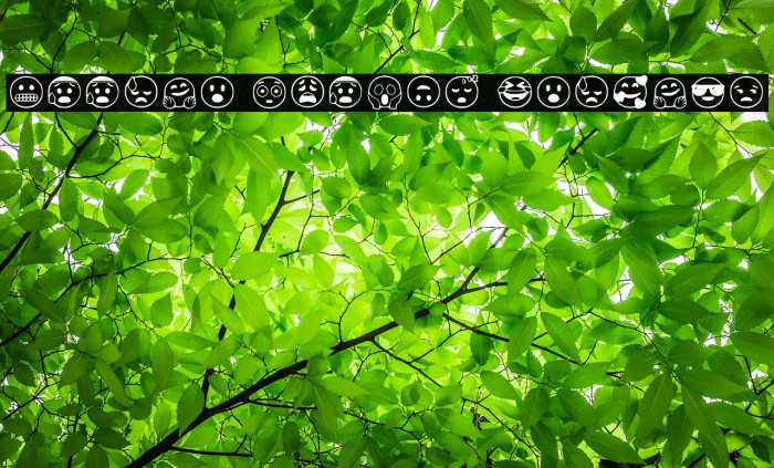 Google Emojis Regular Font examples