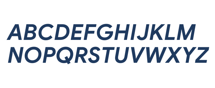 Google Sans Bold Italic Uppercase