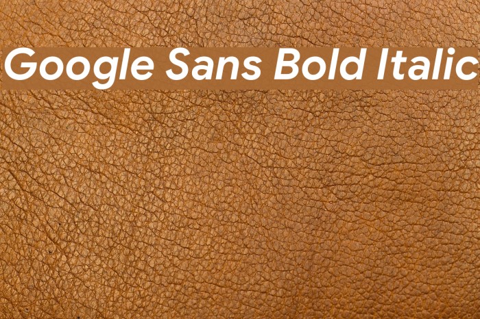 Google Sans Bold Italic Example 1