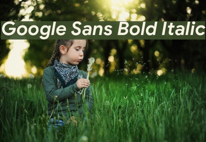 Google Sans Bold Italic Example 2
