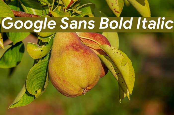 Google Sans Bold Italic Example 3