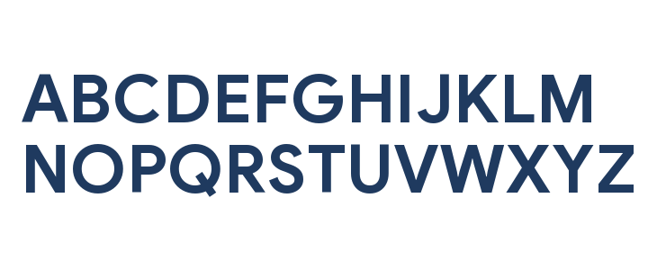 Google Sans Bold Uppercase