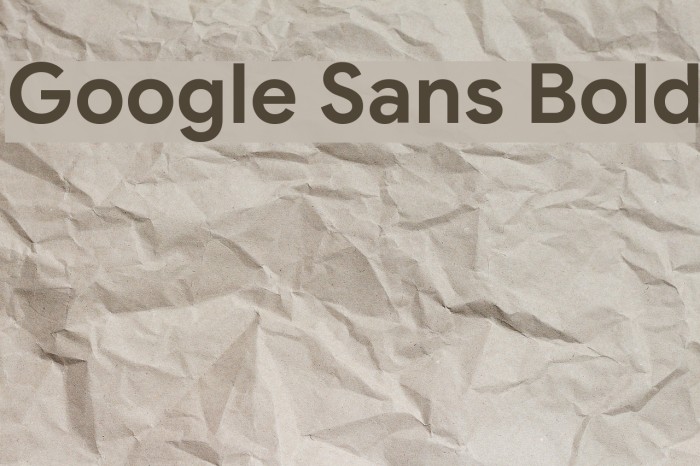 Google Sans Bold Example 1