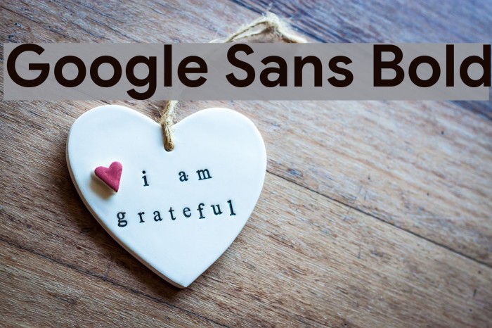 Google Sans Bold Example 2