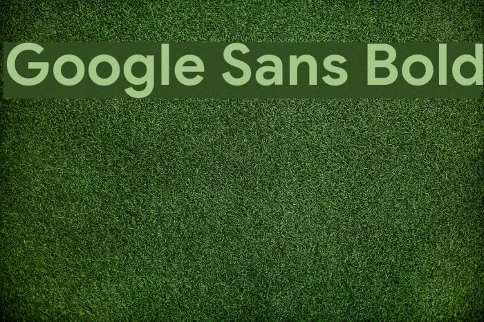 Google Sans Bold Example 3