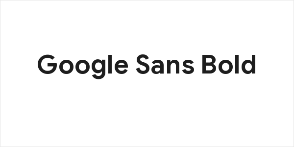 Google Sans Bold Logo